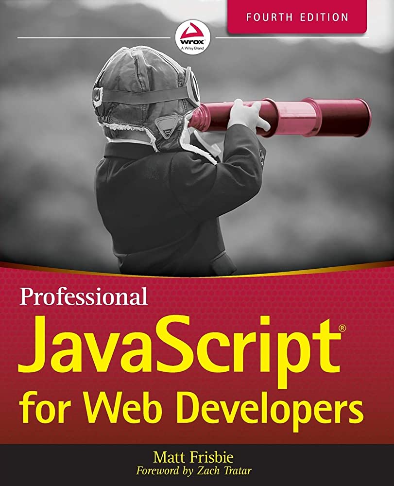 Professional JavaScript for Web Developers Book